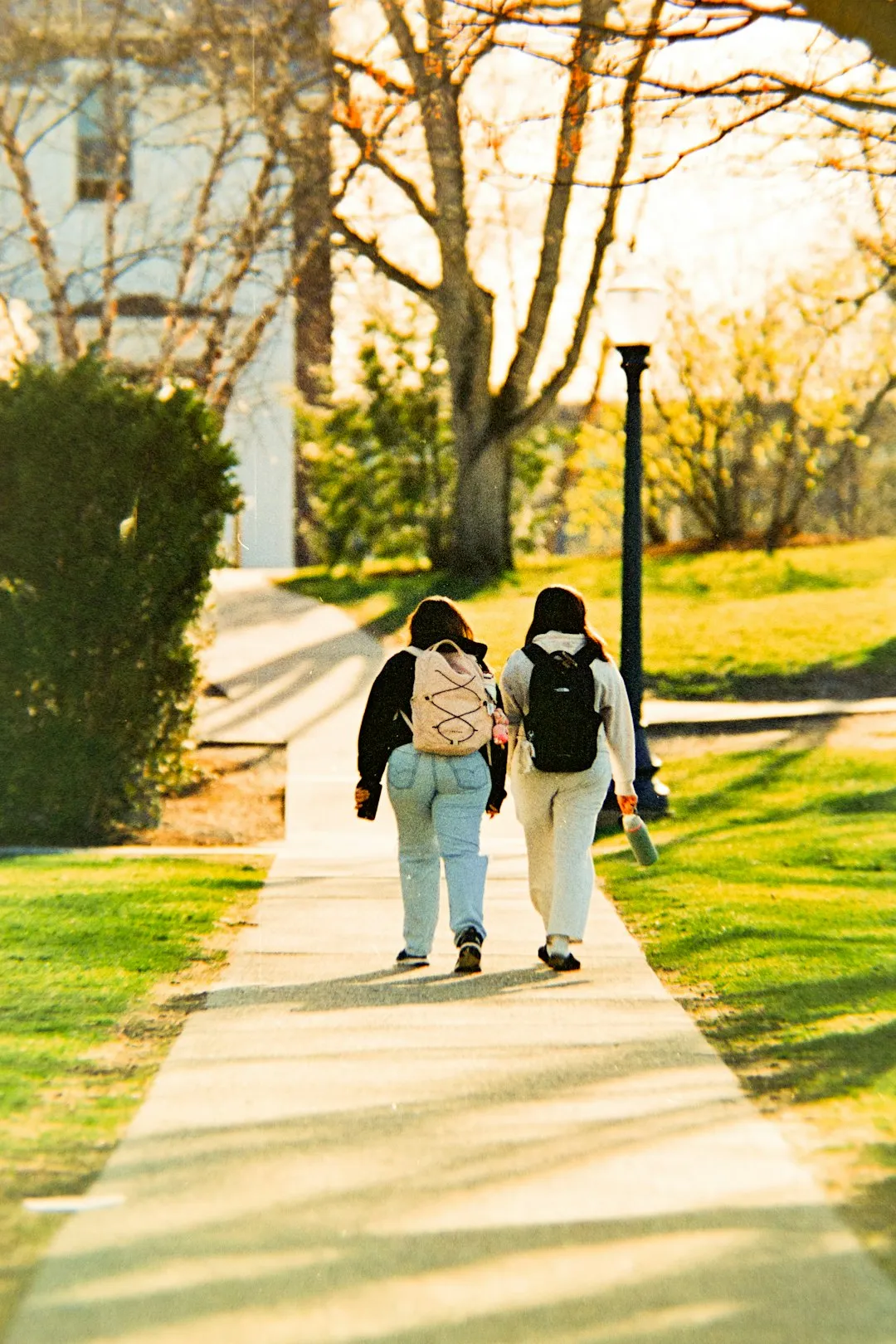 Two people walking side by side down a path in a park